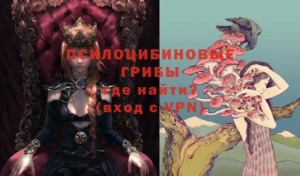 винт Богданович