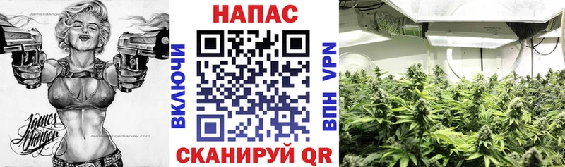 Канабис ГИДРОПОН  shop Telegram  Вяземский 